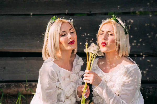 Hermanas gemelas soplando dientes de león —  Fotos de Stock