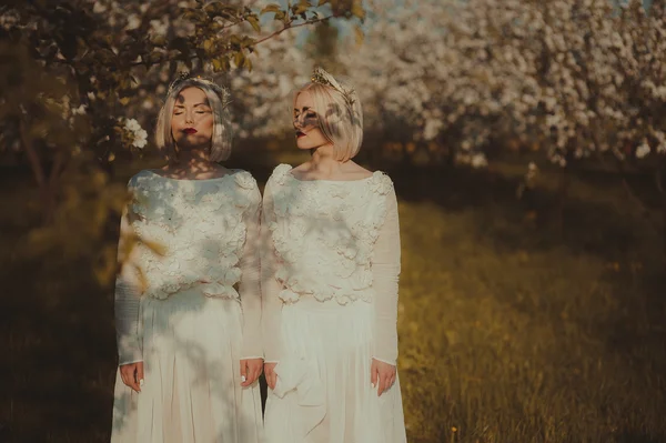 Two twin sisters in a cherry blossom — Stock Photo, Image