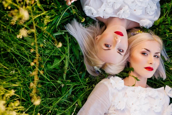 Dvojčata sestry leží na zelené trávě — Stock fotografie