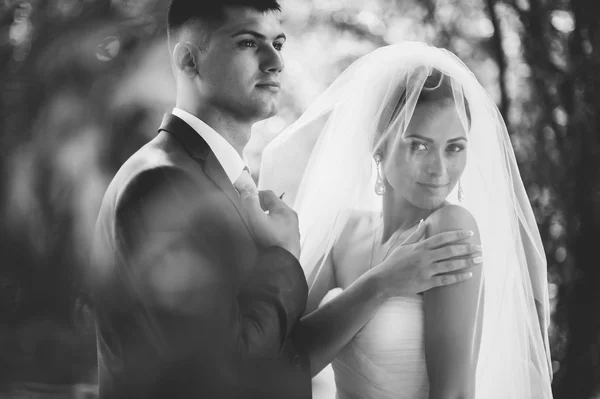 Retrato de casamento de um jovem casal — Fotografia de Stock