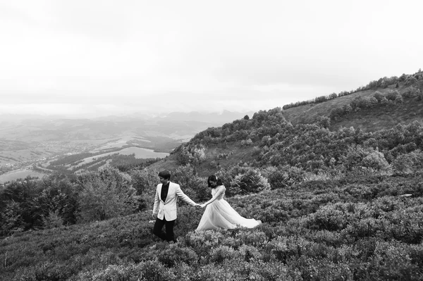 Feliz pareja recién casada —  Fotos de Stock