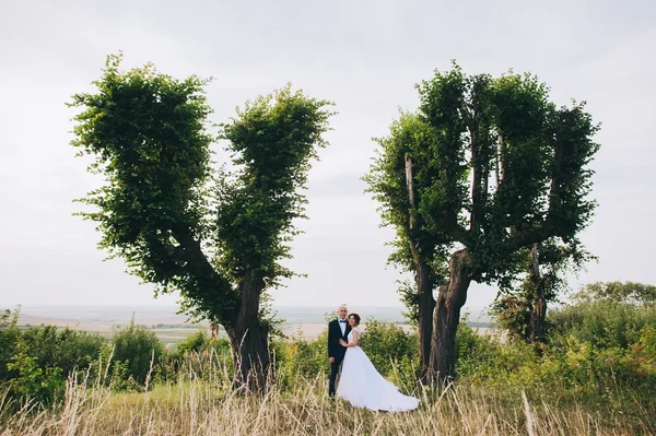 Pareja de boda en la noche —  Fotos de Stock