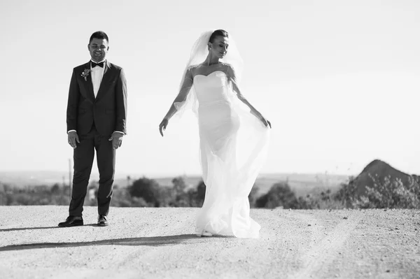 Pareja de boda en la carrera de arcilla —  Fotos de Stock