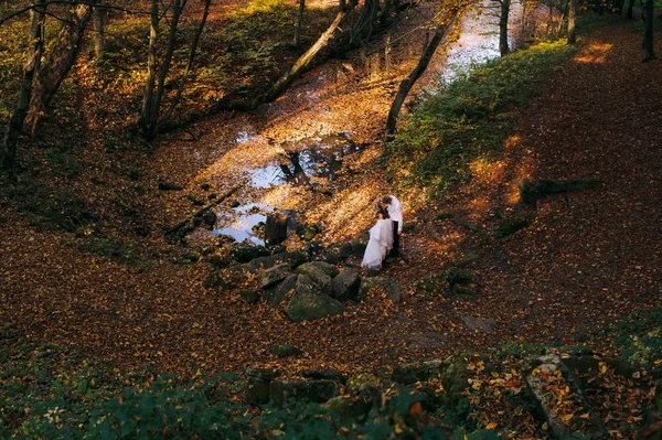 Felice sposa e sposo — Foto Stock