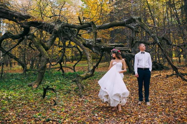 Novia y novio felices —  Fotos de Stock