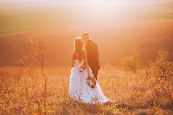 Atractiva pareja de boda —  Fotos de Stock