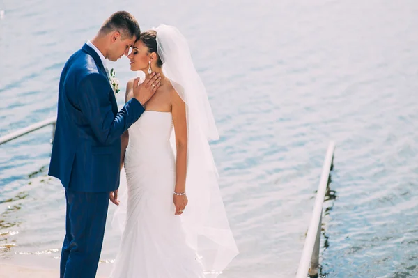 Portret van een gelukkige bruid en bruidegom — Stockfoto