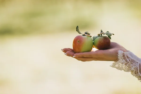 Hand of bride holding a green apples — Stock Photo, Image