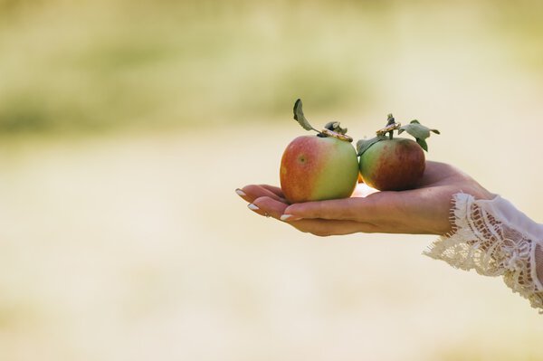 Рука невесты держит зеленые яблоки
