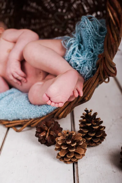 Bebé niño, estudio de fotos — Foto de Stock