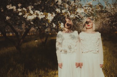 İki ikiz kardeşler