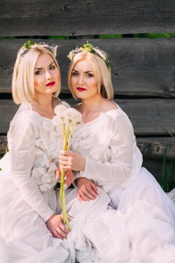 Dandelions üfleme kardeşler