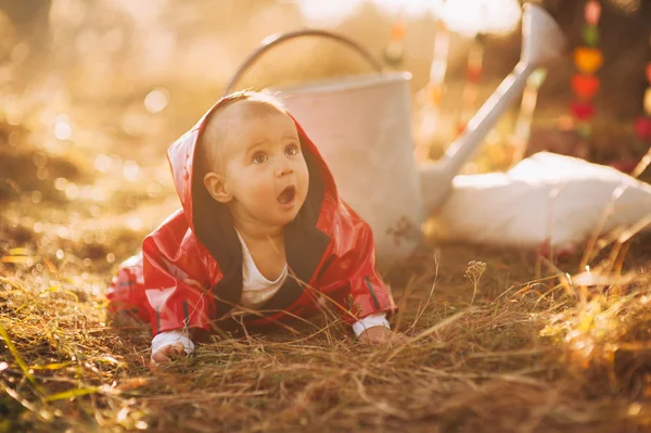 Close up Baby in the park — Stock Photo, Image