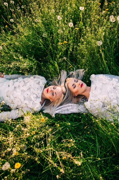 Близнюки лежать на зеленій траві — стокове фото