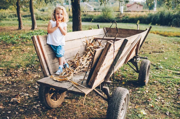 Girl sitting on an old wooden wagon — Stock Photo, Image