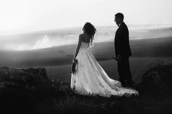 Beautiful wedding day — Stock Photo, Image