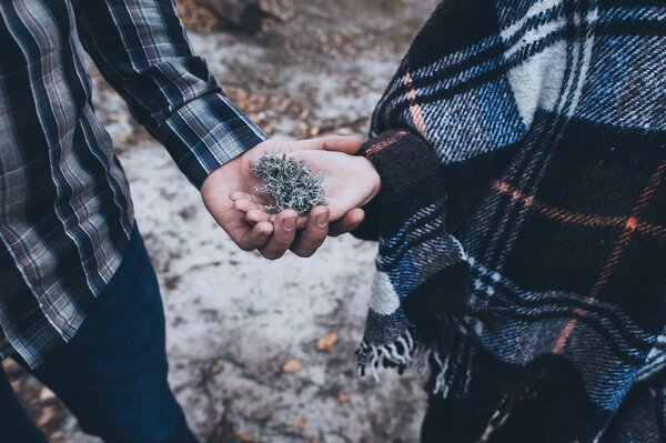 holding a piece of moss in hands