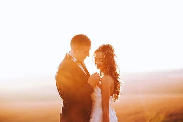 Atractiva pareja de boda — Foto de Stock