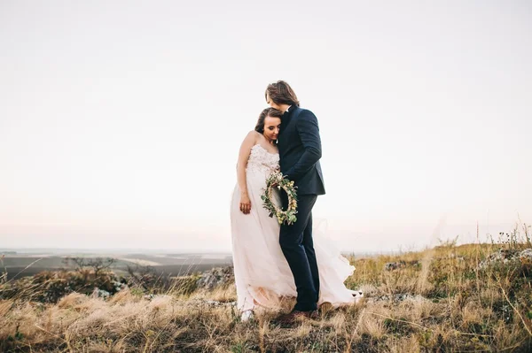 Groom holding fabulous  bride — Stock Photo, Image