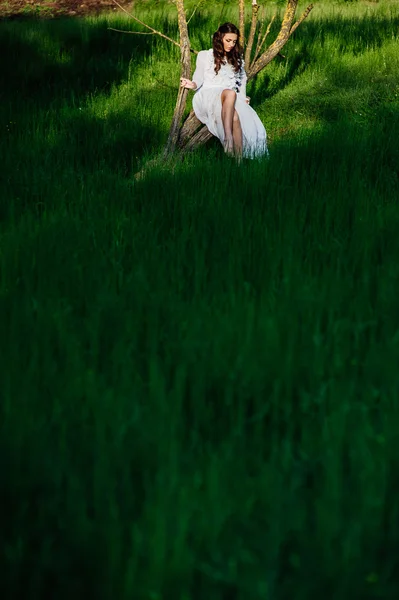 Chica sentada en un árbol — Foto de Stock