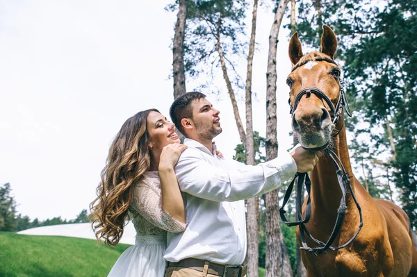 Couple standing next to a horse — Stock Photo, Image