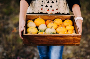 Kabaklar bir kutu içinde tutan kadın 