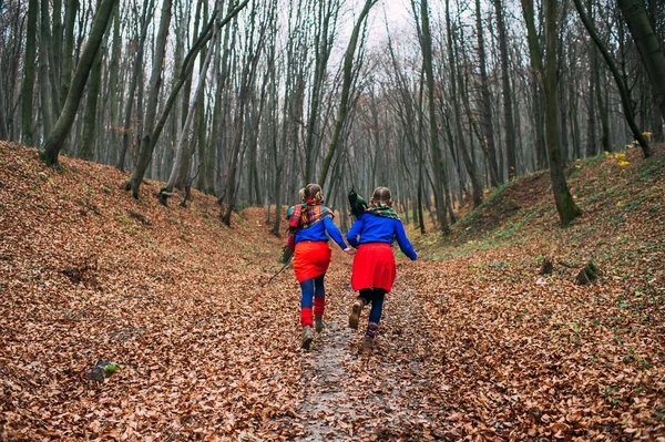 Gemelle gemelle nella foresta autunnale — Foto Stock