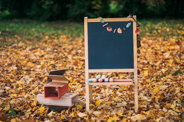 Fallen leaves, chalk blackboard — Stock Photo, Image