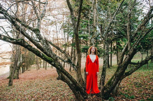 Chica en un bosque misterioso —  Fotos de Stock