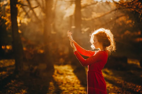 Girl in a mysterious forest — Stock Photo, Image