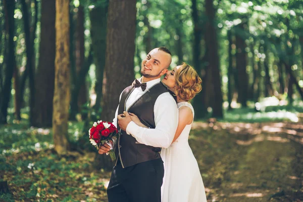 Recém-casados caminhando na floresta — Fotografia de Stock