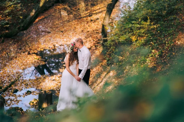 Newlyweds walk in the autumn forest