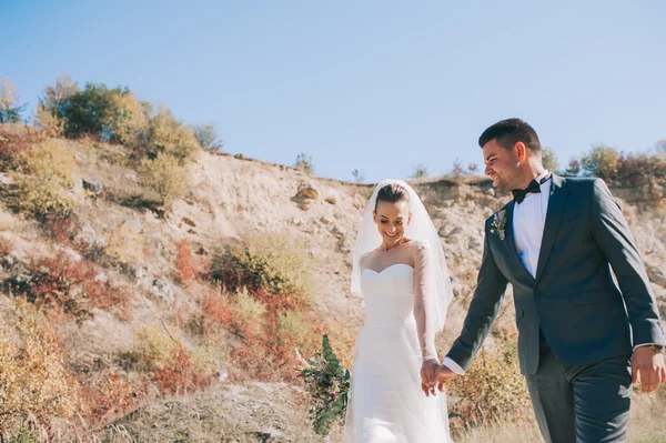 Recién casados posando en la carretera —  Fotos de Stock