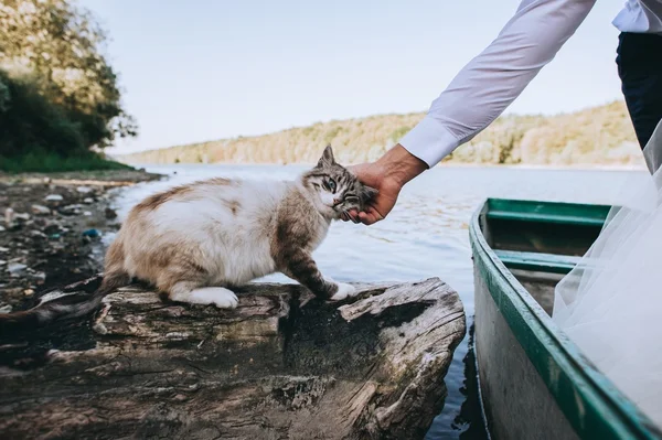 Hombre en un barco con gato —  Fotos de Stock