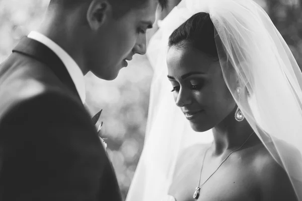 Happy bride and groom — Stock Photo, Image