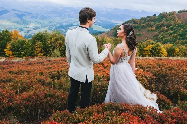 Recém-casados em um passeio nas montanhas — Fotografia de Stock
