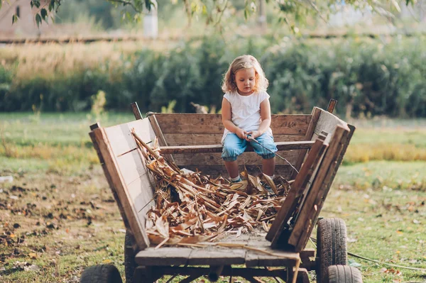 Girl inon an old wooden wagon — Stock Photo, Image