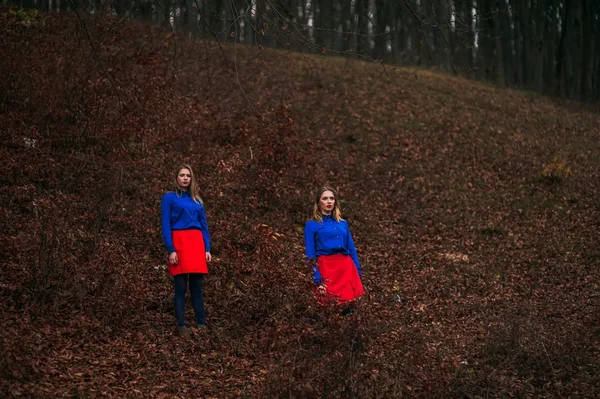 Hermanas gemelas en el bosque — Foto de Stock