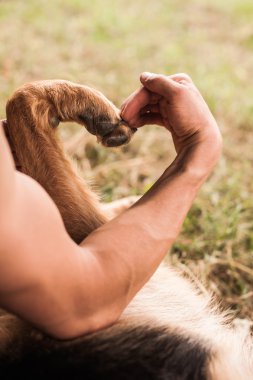 İnsan ve köpek kalp şekli yapma