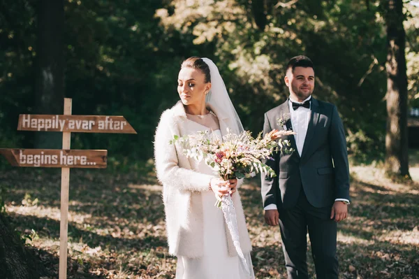 Feliz novia y novio caminando — Foto de Stock