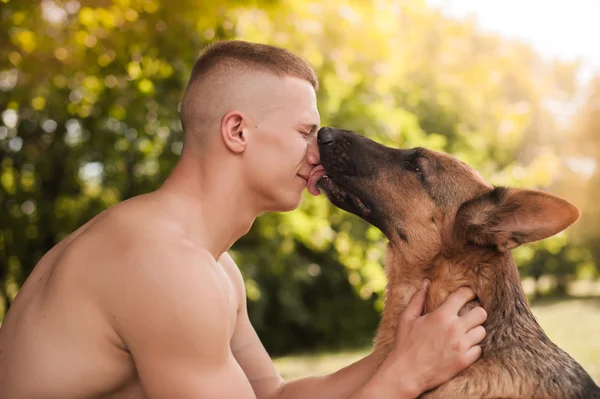 德国牧羊犬的竞技家伙 — 图库照片