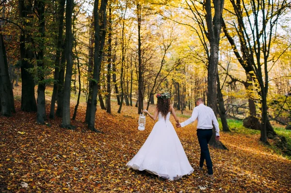 Recién casados caminan en el bosque de otoño —  Fotos de Stock