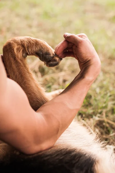 Människa och hund göra hjärta form — Stockfoto