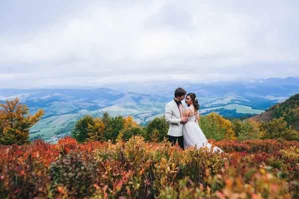 Recién casados en un paseo por las montañas —  Fotos de Stock