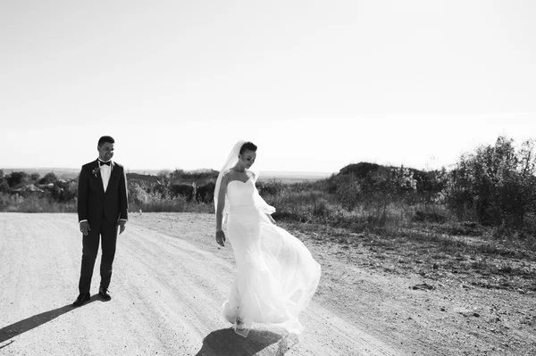 Joven pareja de boda —  Fotos de Stock