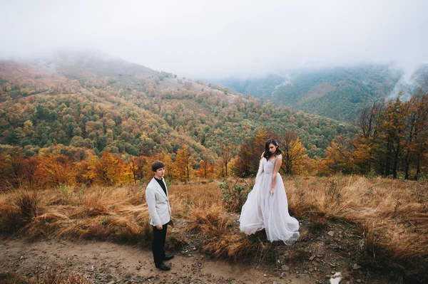 Recién casados en un paseo por las montañas —  Fotos de Stock