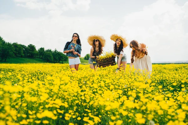 Hippie girls in field — Stock Photo, Image