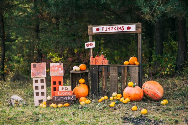 Decoración de otoño colorido — Foto de Stock