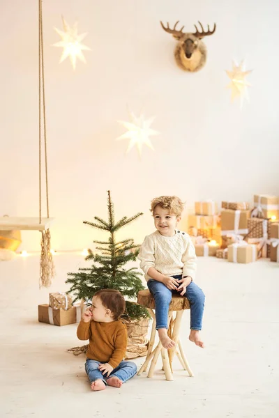 Noel ağacının yanındaki ahşap sandalyeye yaslanmış küçük yakışıklı kardeşlerin portresi. — Stok fotoğraf