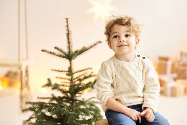 Yakışıklı kıvırcık çocuk Noel ağacını beyaz bir odada süsledi.